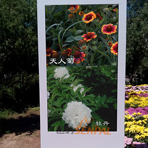 長(zhǎng)春市公園立式廣告機(jī)項(xiàng)目